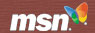 msn logo